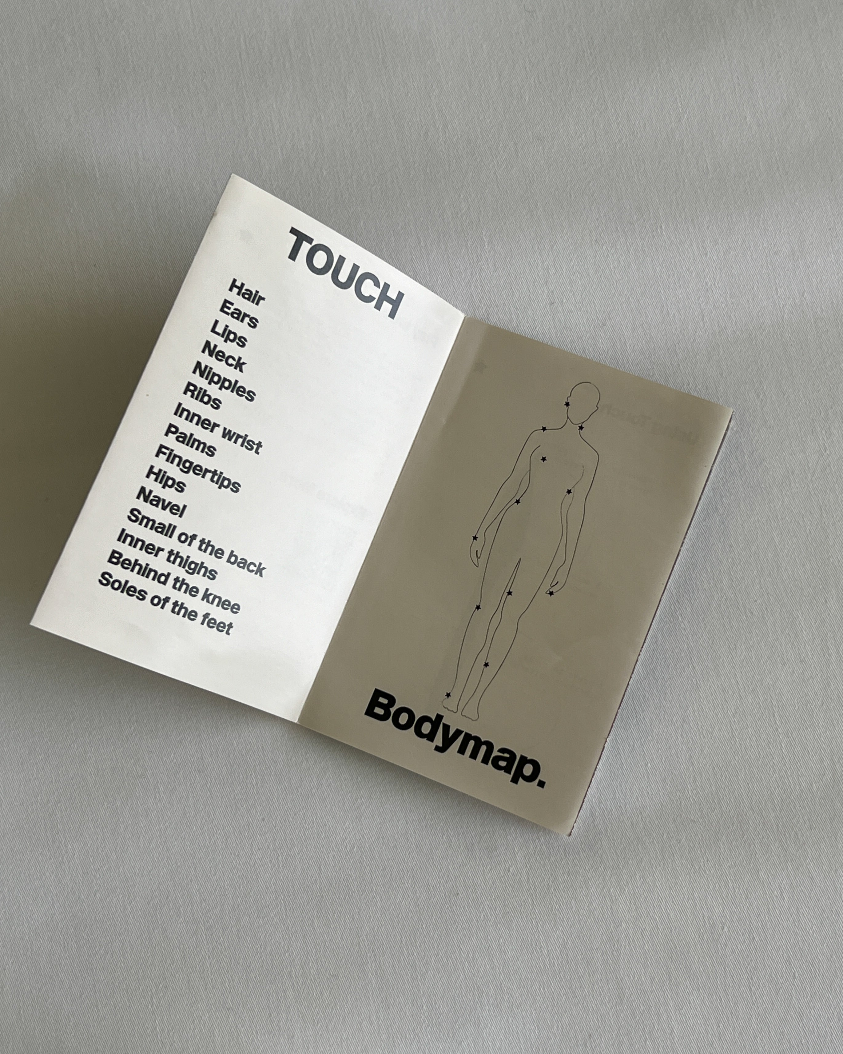 Erogenous Zones & Where to Find Them